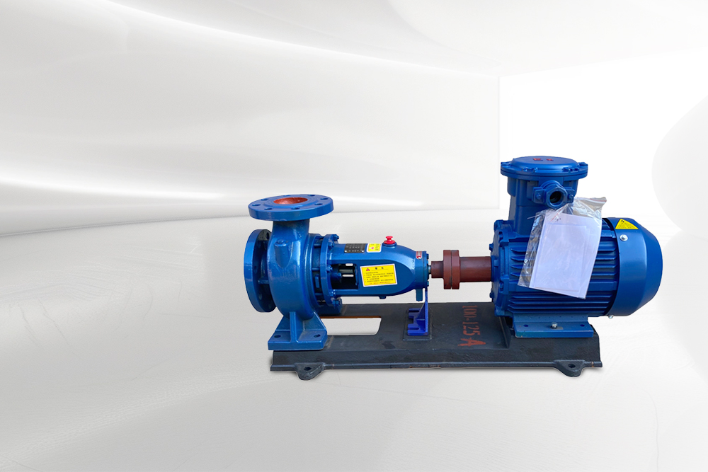  <span style="font-size:20px;"><strong>End Suction Pump</strong></span> 