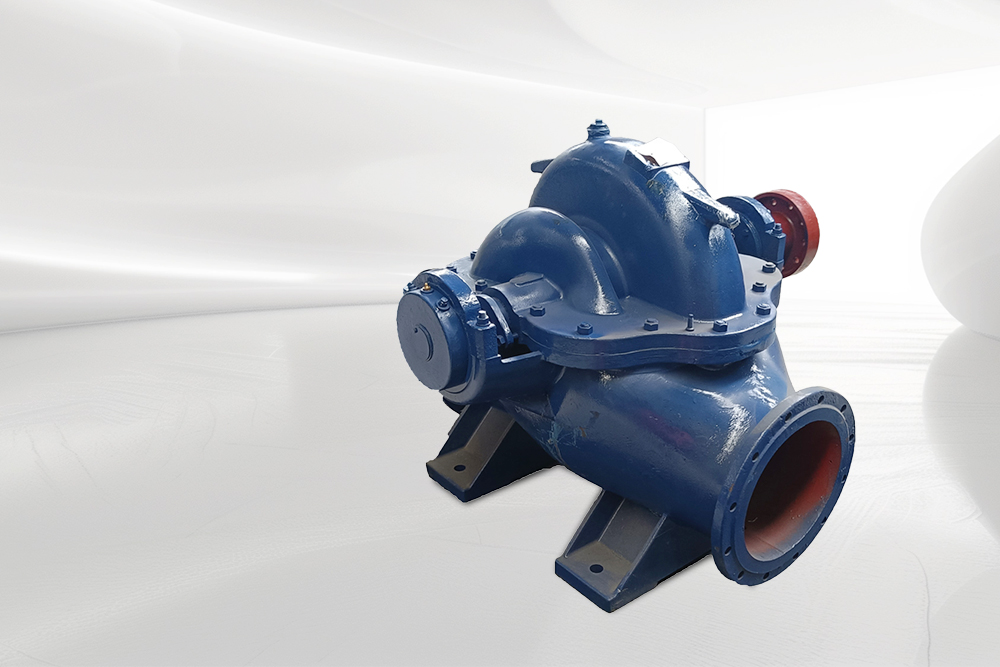 <span style="font-size:20px;"><strong>Double Suction Pump</strong></span>